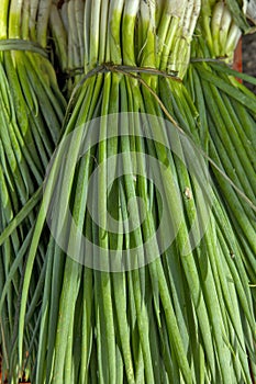 Closeup of bundle of chive at the wholesale market stall photo