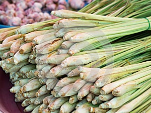 Closeup bundle of fresh organic lemon grass for retail sale in local market, Thailand