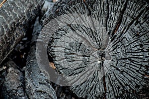 burned wood texture