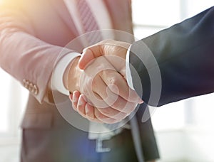 Closeup of Business Leader Shaking Partner Hand