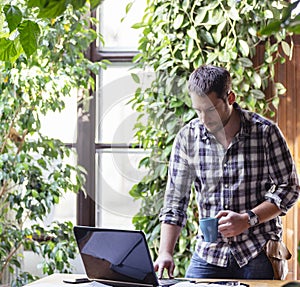 Closeup of business man enjoy working on computer in his pleasant studio home office with green houseplant.