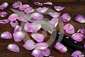 Closeup butcher knife with pink rose petals