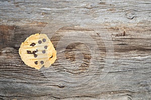 Closeup Butter cookies with chocolate chip topping on wooden ba