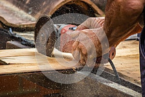 Closeup of Carpenter Working on its Woods