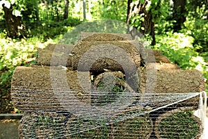 Closeup of carpet grass rugs outdoors with green and brown pattern. Lawn of green grass and soil is rolled into rolls