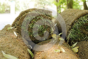 Closeup of carpet grass rugs outdoors with green and brown pattern. Lawn of green grass and soil is rolled into rolls