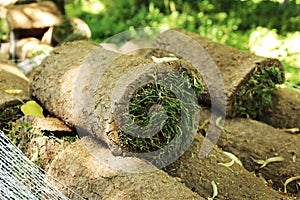 Closeup of carpet grass rugs outdoors with green and brown pattern. Lawn of green grass and soil is rolled into rolls