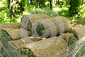 Closeup of carpet grass rugs outdoors with green and brown pattern. Lawn of green grass and soil is rolled into rolls