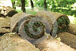 Closeup of carpet grass rugs outdoors with green and brown pattern. Lawn of green grass and soil is rolled into rolls