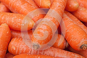 Closeup of carrots