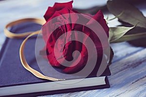 Red rose, catalan flag and book