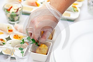 Closeup catering chef in transparent rubber glove put appetizers in sauceboats, fried brie cheese, camembert. Concept finger food