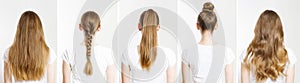 Closeup Caucasian hair type different hairstyles ponytail, bun, braid back view isolated on white background. Braid, ponytail.