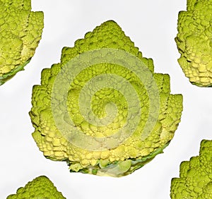 Closeup of cauliflowers on white background