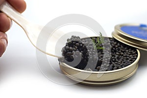 Caviar in a white nacre spoon with the metalllic box on white background