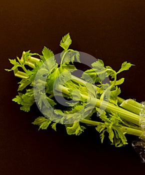 closeup celeri leaves on brown background