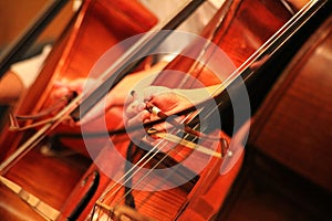 Closeup of cellist hands playing cello orchestra music instrument.Cello player. Hands of a musician with a bow stick playing the d