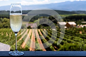 Closeup of champagne glass or goblet with vineyards in the background.