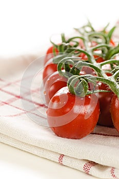 Closeup of cherry tomatoes on the vine