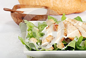 Closeup chicken cesar salad