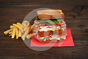 Closeup chicken club sandwich with fries
