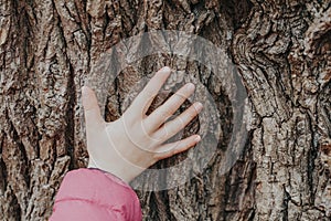 Closeup of child hand touching old tree. World Earth Day holiday. Natural wooden texture background. Save the planet nature