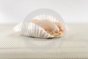 Closeup of chocolate eclair on grey background