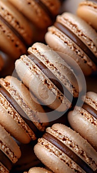 Closeup of chocolate macarons lined on a table, tempting dessert finger food