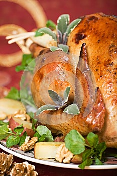 Closeup of Christmas turkey on dinner table