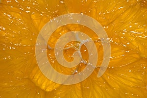 Closeup of citrus fruit