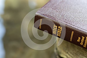 Closeup of closed Holy Bible Book with gold letters. Word of God and Jesus Christ.