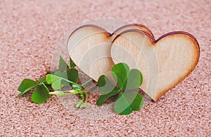 Closeup clover leaf and stone