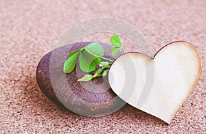 Closeup clover leaf and stone .