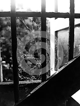 Closeup of cobwebs on an old rusty abandoned window wire,black and white