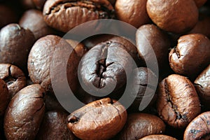 Closeup of coffe grains