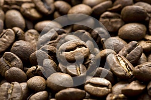 Closeup of coffee beans