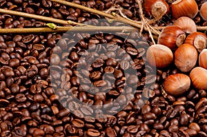 Closeup of coffee beans and filberts