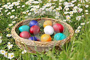 Closeup of colorful eggs in beautiful spring meadow on easter holiday outdoors in green graas.Traditional symbol for christian and