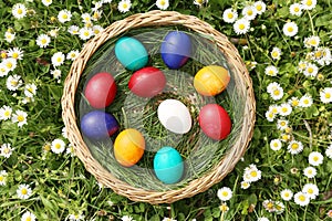 Closeup of colorful eggs in beautiful spring meadow on easter holiday outdoors in green graas.Traditional symbol for christian and