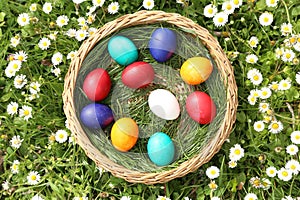 Closeup of colorful eggs in beautiful spring meadow on easter holiday outdoors in green graas.Traditional symbol for christian and