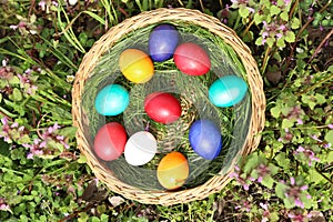 Closeup of colorful eggs in beautiful spring meadow on easter holiday outdoors in green graas.Traditional symbol for christian and