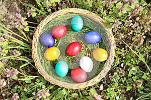 Closeup of colorful eggs in beautiful spring meadow on easter holiday outdoors in green graas.Traditional symbol for christian and