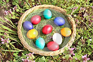 Closeup of colorful eggs in beautiful spring meadow on easter holiday outdoors in green graas.Traditional symbol for christian and