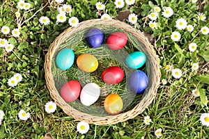 Closeup of colorful eggs in beautiful spring meadow on easter holiday outdoors in green graas.Traditional symbol for christian and