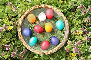 Closeup of colorful eggs in beautiful spring meadow on easter holiday outdoors in green graas.Traditional symbol for christian and