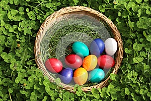 Closeup of colorful eggs in beautiful spring meadow on easter holiday outdoors in green graas.Traditional symbol for christian and