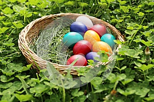 Closeup of colorful eggs in beautiful spring meadow on easter holiday outdoors in green graas.Traditional symbol for christian and