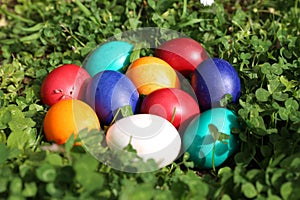 Closeup of colorful eggs in beautiful spring meadow on easter holiday outdoors in green graas.Traditional symbol for christian and