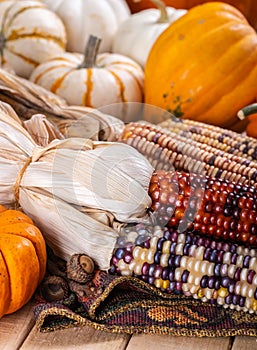 Fall Indian Corn and Mini Pumpkin