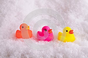 Closeup of colorful funny rubber ducks in the snow